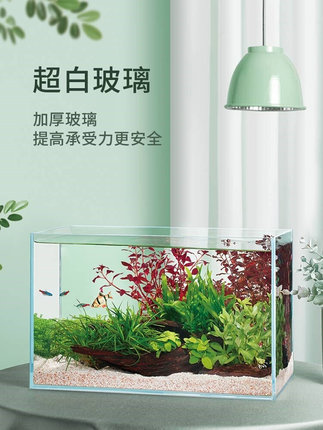 金晶五线超白鱼缸乌龟缸混合养钢化玻璃鱼缸至纯超白缸桌面客厅