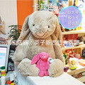 现货！新西兰Jellycat兔子巨大号75CM毛绒玩具3色可选进口兔子