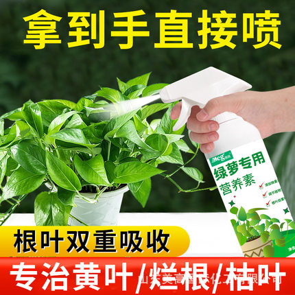 绿箩专用营养液肥花卉水培植物绿箩室内家用盆栽肥料免稀释