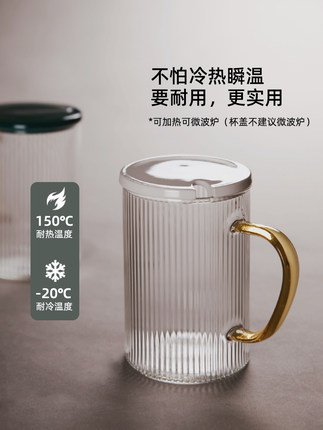 耐高温玻璃杯带盖带把 家用水杯透明 带勺杯子马克杯玻璃杯大容量