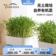 日本进口绿豆芽栽培器豌豆苗发芽盆蔬菜猫草种植无土水培育苗托盘