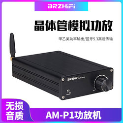 AM-P1 高保真模拟小型功放 论美HD1969 LM1875 高音质音响蓝牙5.3