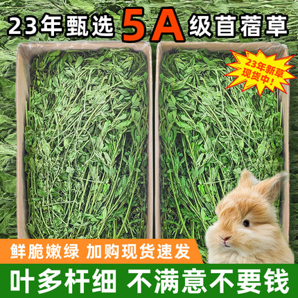 苜蓿草干草兔子粮食用紫花幼兔豚鼠食饲料专用龙猫吃的兔粮苜宿草