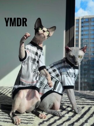 YMDR无毛猫德文猫宠物猫夏季薄款B家格子空调服防晒服轻薄凉爽T恤
