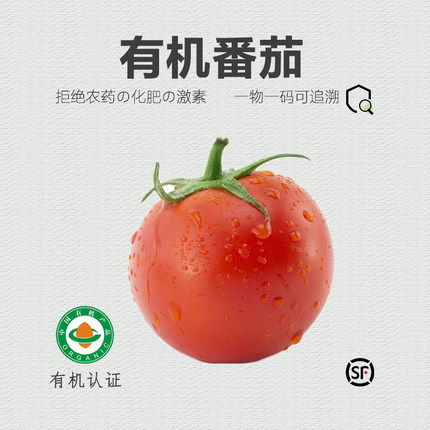 新疆半亩园有机西红柿 新鲜番茄自然熟宝宝孕妇沙瓤普罗旺斯5斤