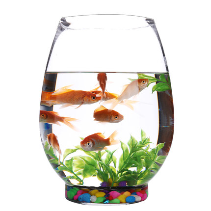 圆形玻璃鱼缸小型桌面家用客厅金鱼缸创意办公室迷你水培龙蛋鱼缸