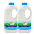 蒙牛大桶酸奶1.1kgx2桶装自然原味水果捞专用早餐生牛乳酸牛奶