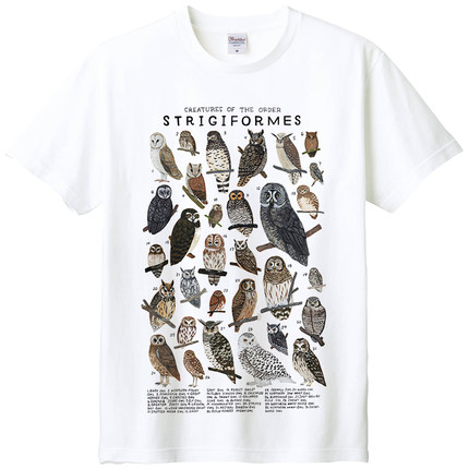 鸮形目短袖T恤 猫头鹰科普鸟类动物纯棉染印亲子装体恤夏季圆领