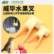 鸟用水果叉塑料 八哥鹩哥鸟玩具鸟用具画眉绣眼鸟笼配件 鹦鹉用品