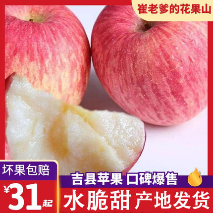 山西吉县红富士壶口苹果水果新鲜特一级10斤当季整箱糖心脆甜