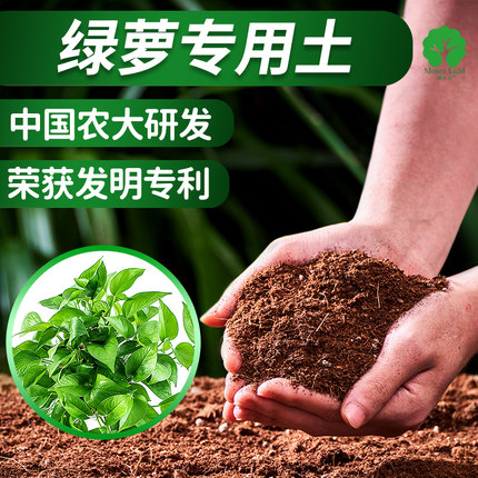 漫生活绿萝专用营养土盆栽植物养花通用型花土壤专用扦插基质肥土