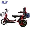 蓝马老人代步车双人可折叠微小型电动三轮车送父母安全接送孩子