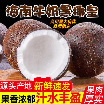 海南牛奶黑椰皇新鲜水果老椰子商用清补凉榨椰汁文昌特产去皮抛光