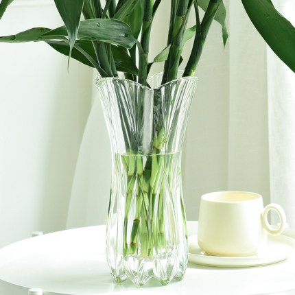欧式创意大号玻璃花瓶透明水培富贵竹百合郁金香客厅餐桌插花摆件