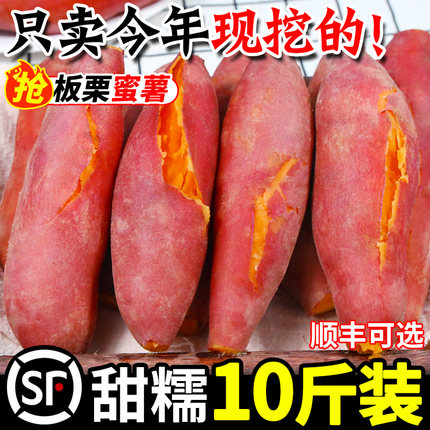 板栗蜜薯10斤新鲜红薯沙地糖心地瓜非山东烟薯番薯25号烤红薯专用