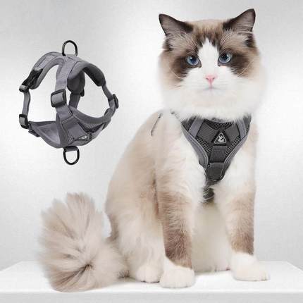 缅因猫牵引绳猫咪防挣脱外出专用小猫胸背带大猫战术背心式溜猫绳