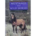 Mustangs and Wild Horses by Gail B. Stewart精装Capstone Press野马和野马
