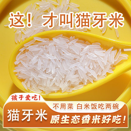 猫牙米10斤泰国香米长粒香大米丝苗米煲仔饭专用米大米2023年新米