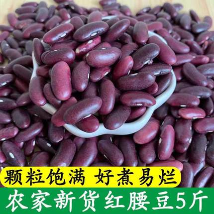 云南红腰红豆特产豆大5斤五谷杂粮粗粮红芸豆干货农家金豆种子