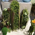 .创意树皮多肉苔藓摆放仿真植物艺术花盆花园橱窗布景装饰绿植花