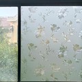 玻璃纸窗户贴膜