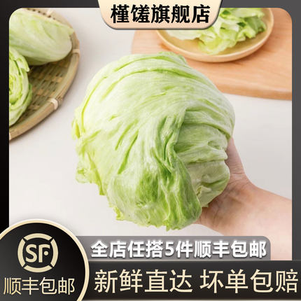 【槿馐】球生菜500g 西生菜圆生菜结球生菜新鲜蔬菜汉堡沙拉食材