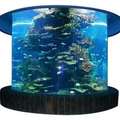 新款厂促定做实木超白玻璃金晶玻璃鱼缸海水缸圆柱缸海洋缸办公款