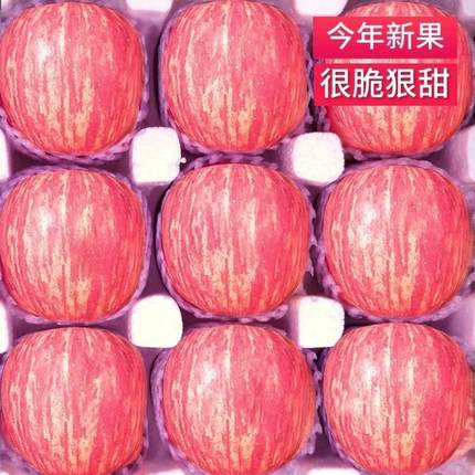 正宗陕西洛川苹果水果新鲜当季整箱一级红富士苹果脆甜大果包邮