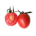 现摘千禧小番茄小柿子圣女果樱桃迷你西红柿孕妇新鲜水果净果5斤