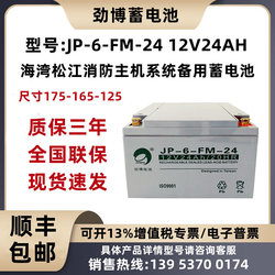 JP-6-FM-24海湾松江消防主机系统备用UPS蓄电池12V24AH