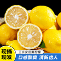 四川安岳黄柠檬新鲜水果当季精选皮薄香水柠檬包邮现摘