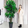 仿真发财树假花装饰植物室内假盆栽客厅花大型落地树绿植塑料盆景