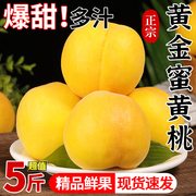 黄金蜜黄桃5斤新鲜桃子当季现摘黄肉蜜桃脆甜桃孕妇大果整箱包邮3