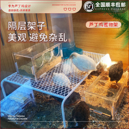 芦丁鸡造景平台放多功能喂食器食盒水壶架子卢丁鸡饲养用品置物架