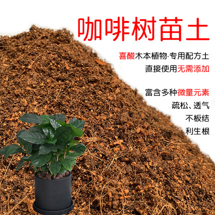 咖啡树苗土盆栽种植咖啡树苗专用土酸性土壤沙性土通用营养土花肥