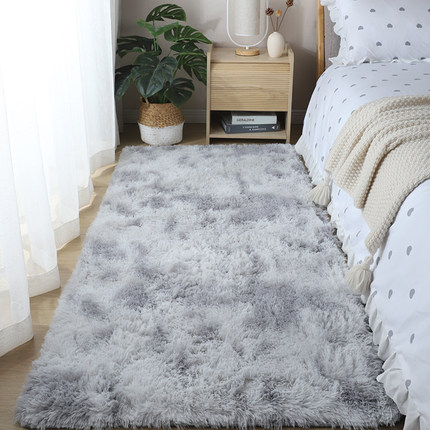 地毯卧室床边毯家用满铺北欧ins客厅少女房间冬天毛绒毛毯地垫