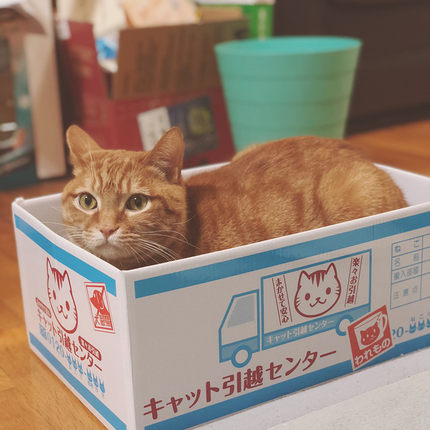 猫纸箱 猫抓板窝瓦楞纸磨爪器磨爪板猫爪板 猫咪纸盒房子猫窝纸箱