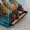 鸡笼子养鸡笼家用小号蛋鸡笼鹌鹑养殖笼自动滚蛋折叠鸡笼子鸡舍