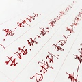 李乐平行书密码6小时练字句字成人速成钢笔描红漂亮文艺硬笔字贴