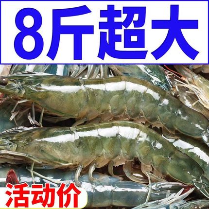 青岛大虾新鲜鲜活超大基围虾对虾海虾特大青虾速冻海鲜水产鲜虾类