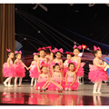 六一儿童合唱演出服蓬蓬裙纱裙女童可爱蛋糕裙幼儿园舞蹈服表演服