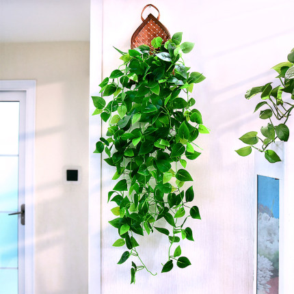 仿真绿萝爬山虎壁挂客厅墙面装饰绿植假花藤条藤蔓植物垂吊兰壁挂