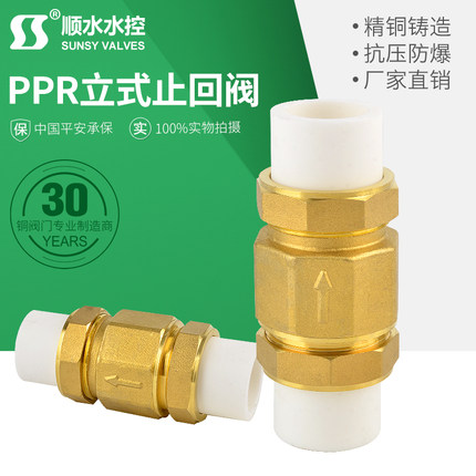 热熔活接PPR20黄铜PE立式弹簧止回阀返止水逆流自来水管4分6分1寸