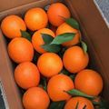 江南脐橙新鲜爱媛果冻橙子3斤5斤10斤