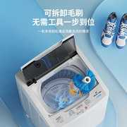 长虹洗鞋机全自动家用小型洗脱一体热烘干刷鞋机神器洗鞋洗衣两用