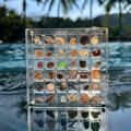 贝壳收纳盒亚克力透明微型石头海边标本相框展示收藏昆虫收集盒子