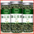蒲公英茶正品特产级散结茶中药材茶泡水喝蒲公英根婆婆丁干草胎菊