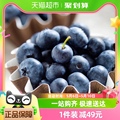 Driscoll's怡颗莓 云南蓝莓125g*4盒中果新鲜水果顺丰包邮