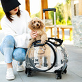 宠物外出便携式透明拉杆箱背包时尚大容量狗狗行李箱手提双肩猫包