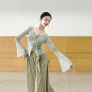 古典舞印花长袖上衣中国舞舞蹈服现代舞练功服形体服套装艺考演出